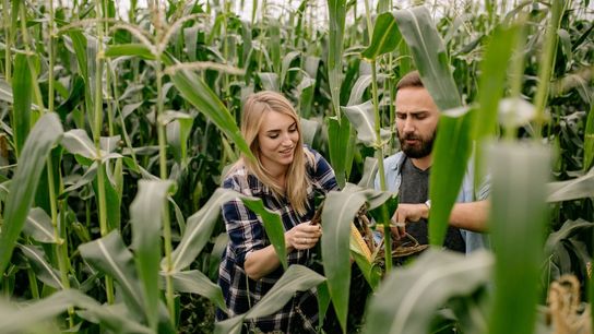 New Hampshire's New Farmer School Helps Relocating Families Turn Farming Dreams Into Reality (featured)
